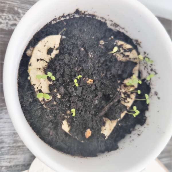 segnaposto segnalibro matrimonio ecologico ecofattoart